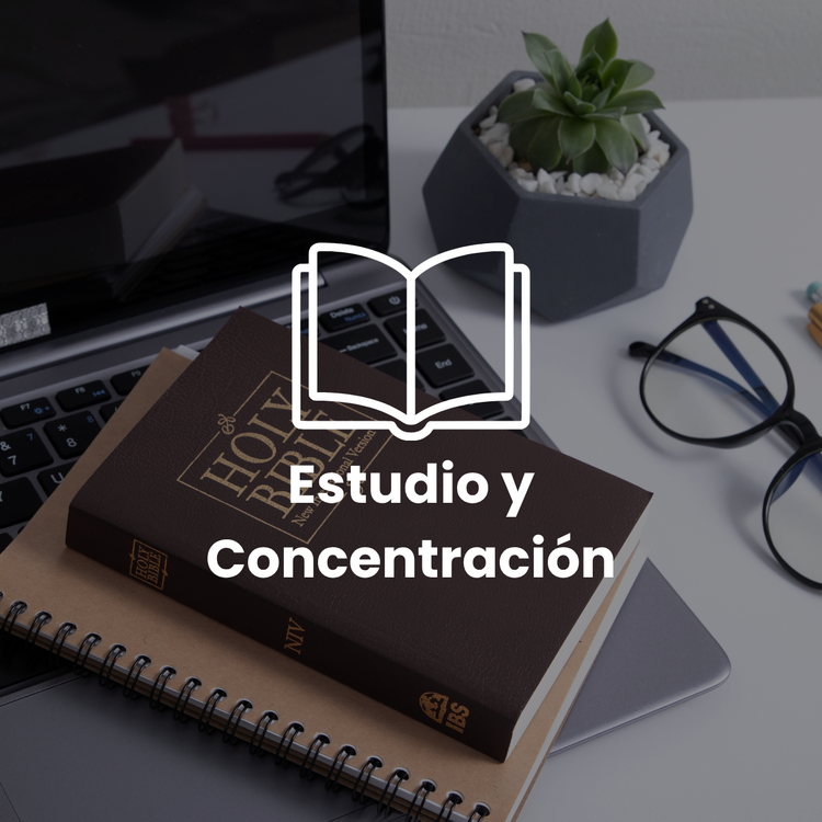 Estudio y Concentración