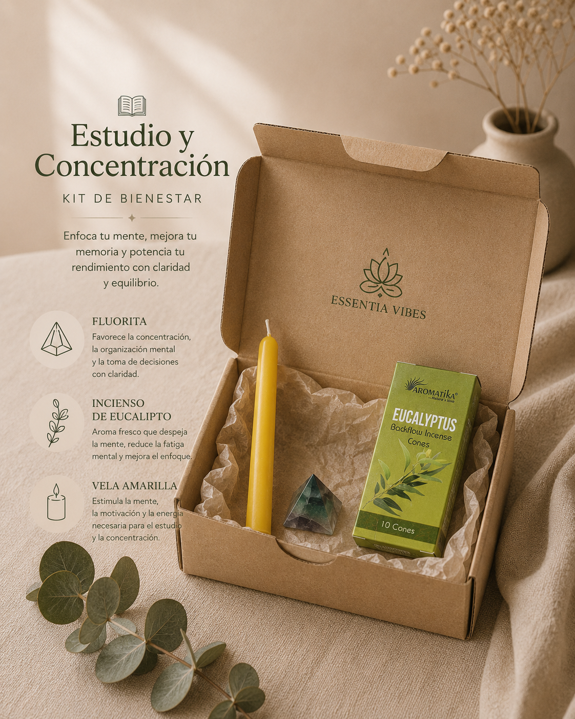 Kit estudio y concentración